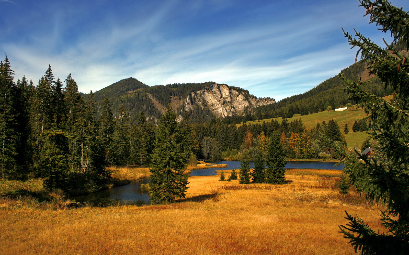 末节风暴!伊朗绝地翻盘、帕尔默单骑救主—世界篮球的终结者哲学